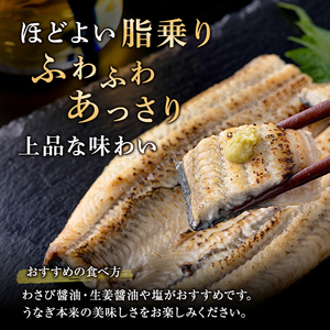 うなぎ 蒲焼 白焼 計8尾 小分け 食べ比べ うなぎ