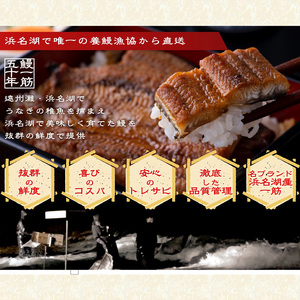 うなぎ 長白焼 長蒲焼150g 各4 カット蒲焼110g うなぎ