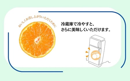 先行予約！山口農園の甘いハウスみかん（5㎏） 