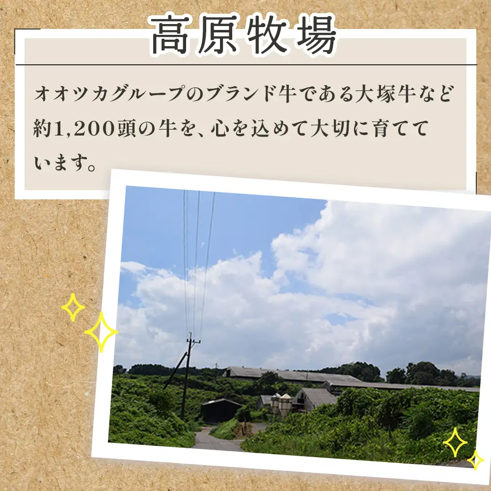 くまもとあか牛 切り落とし 約800g 【 くまもとあか牛 熊本県産あか牛 あか牛切り落とし 赤牛切り落とし 切り落とし 切落し 褐色和牛 和牛切落し 冷凍 あか牛 和牛 牛肉 赤身肉 お肉 切り落し 柔らかい 肉 国産 九州産 熊本県 多良木町 【美味しいあか牛を切落しで】こだわりのあか牛 あか牛切り落し 】 073-0408