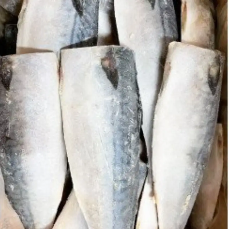【ご家庭用】大容量！塩さばフィレ3.5kg　鯖 サバ 切身【uot749C】