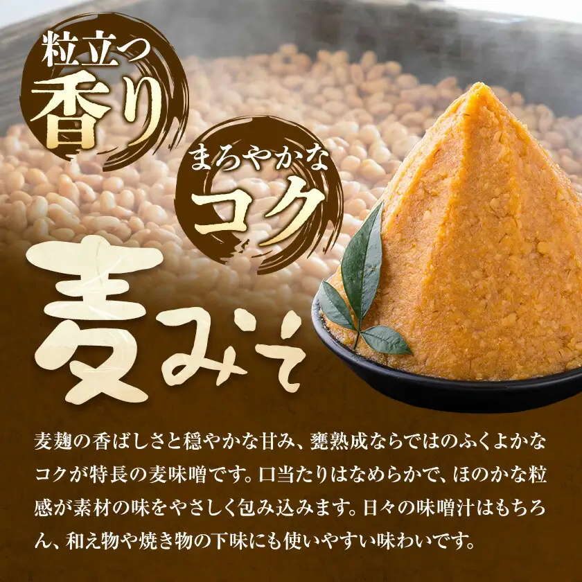 麦味噌 味噌 みそ 計5kg(1kg×5袋) さつま食品《30日以内に出荷予定(土日祝除く)》味噌汁 麦みそ 調味料 和食 豚汁 鹿児島県 さつま町