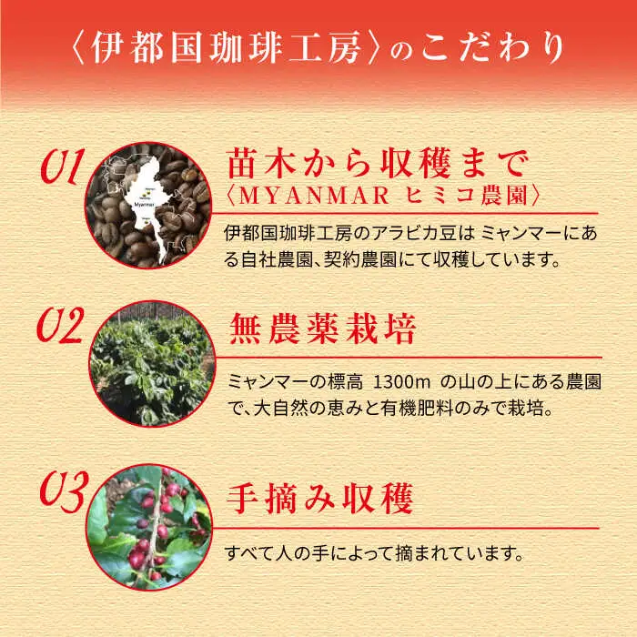 ドリップ コーヒー ギフト 15袋 セット《糸島》【伊都国珈琲工房】 [ACK002]
