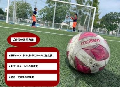 CID28_【みやきなでしこ】応援米さがびより白米６㎏（３㎏×２袋）
