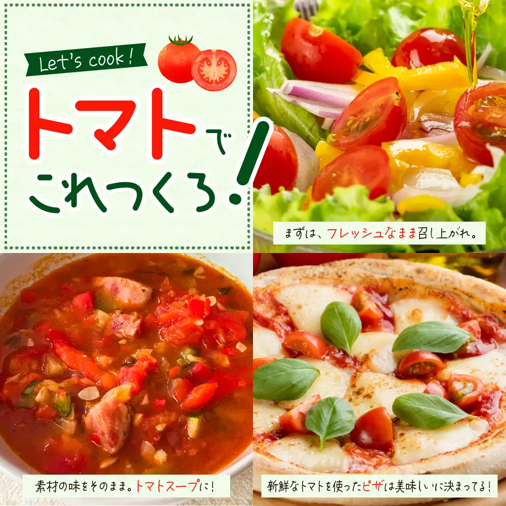 【先行受付】【2026年8月上旬より発送】なまら十勝野の 旬 の 完熟 トマト を3~4品種 詰め合わせた 食べ比べ セット 野菜  北海道産 贈り物 お取り寄せ とまと カラートマト おまかせ アイコ ミックス もぎたて リコピン 新鮮 朝採れ 産地直送 北海道 十勝 芽室町me001-013c