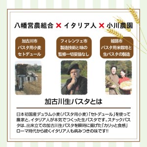【国産小麦】スナック・パスタ(80g)×3袋《 スナック・パスタ スナック パスタ お菓子 スイーツ 小麦 おすすめ プレゼント 菓子 》【2500H04601】