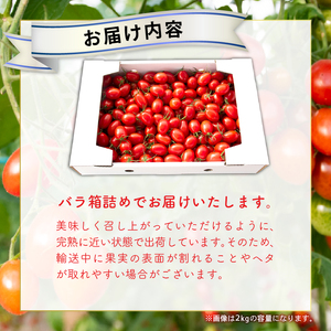 ハッピートマト3kg 先行予約【ミニトマト】