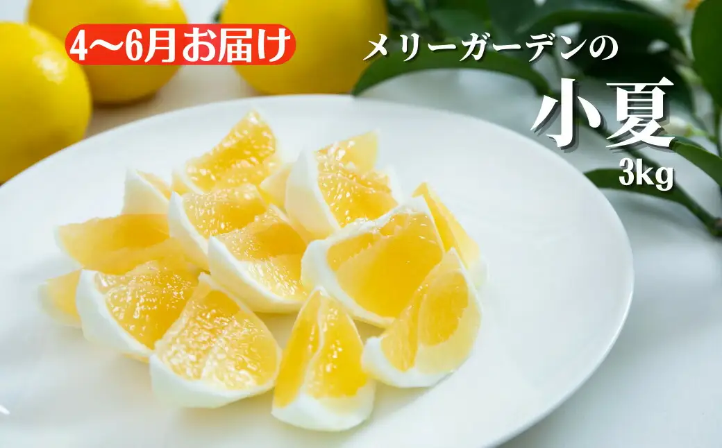 安芸市フルーツ定期便A【7万円コース/年5回発送】