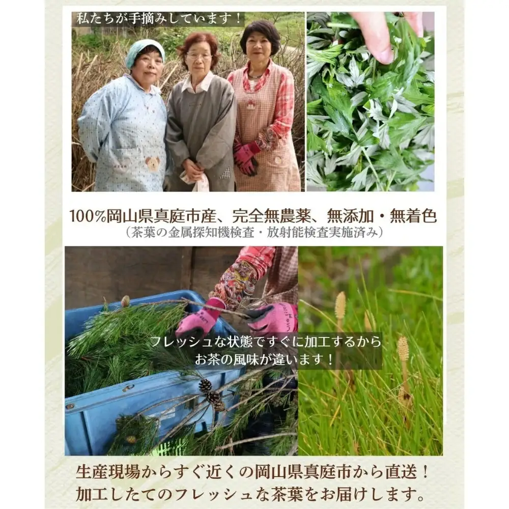 お茶 岡山県真庭市 粉末ブレンドお茶りらく茶 ( よもぎ ・ 松の葉 ・ すぎな の3種) 6袋セット 【savon004-01】