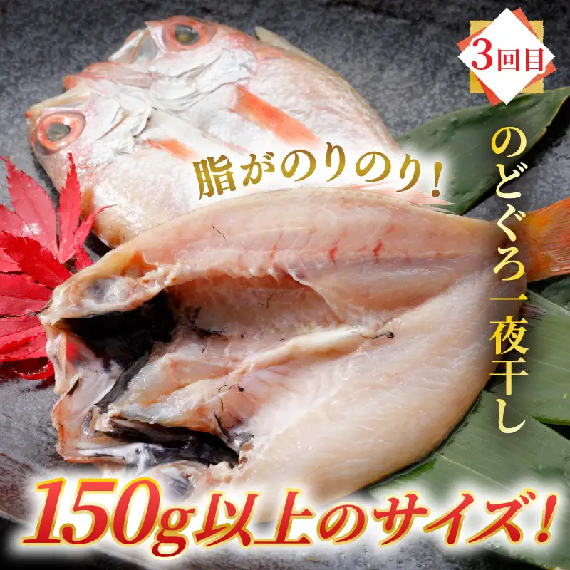 【6ヶ月連続お届け】朝市たろうのイチオシ海鮮定期便 [G-12301]