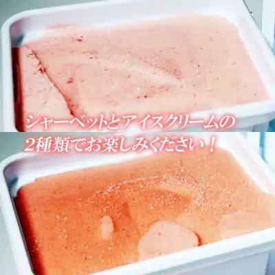 プレミアムあまおうジェラート2種セット 3SB2