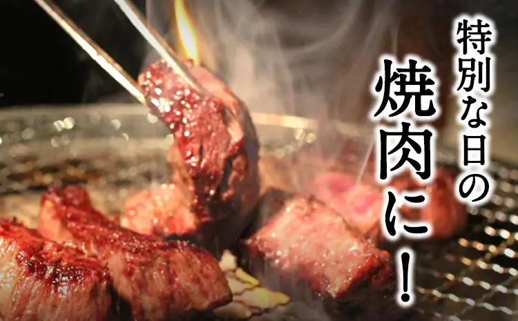 あか牛Bセット サーロインステーキ 180g×3枚 ロース 焼肉用 500g 肩もしくはももスライス 400g 熊本県 氷川町 肉 牛 牛肉 株式会社有佐スーパー