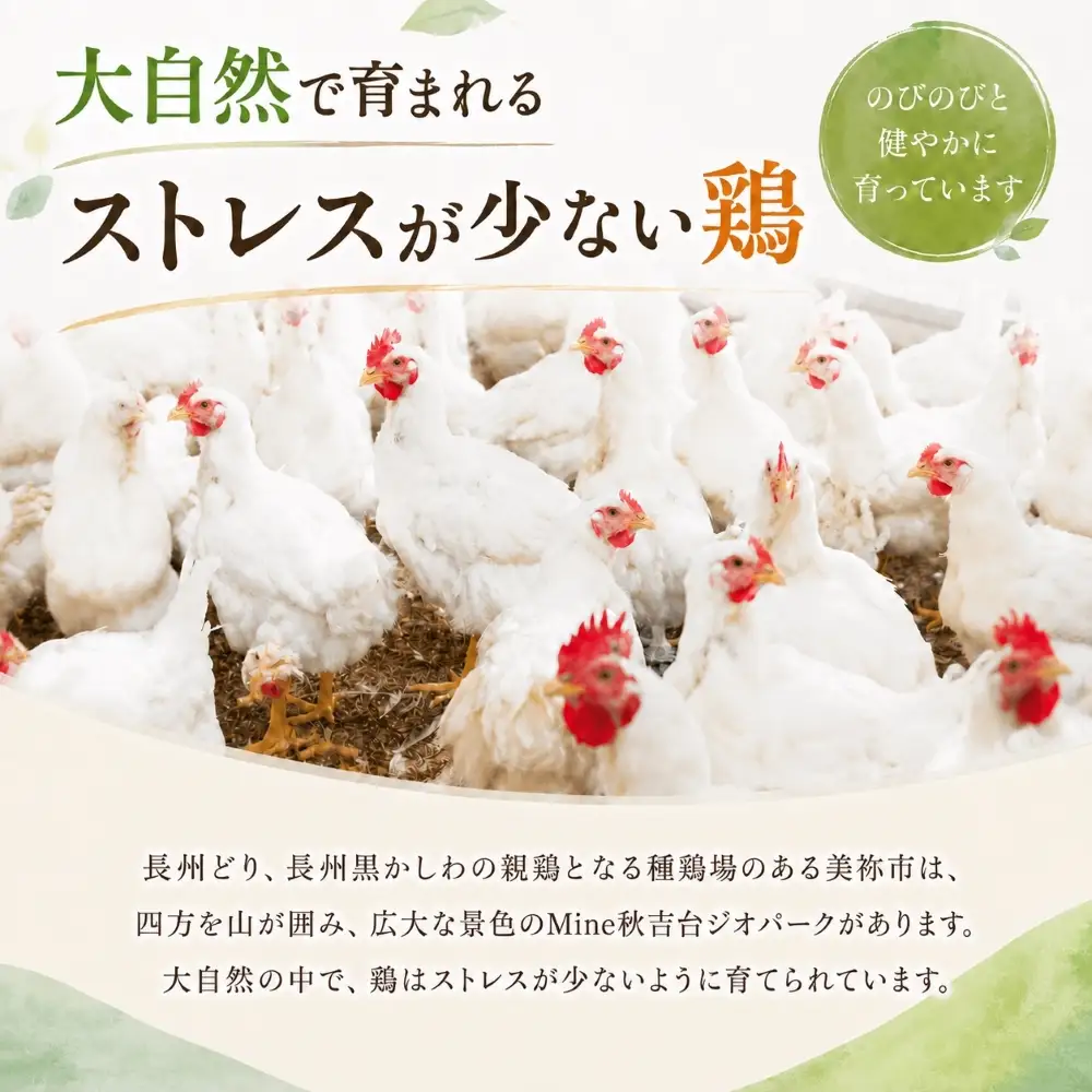 長州どり もも 切り身 合計1.8kg (300g×6パック)