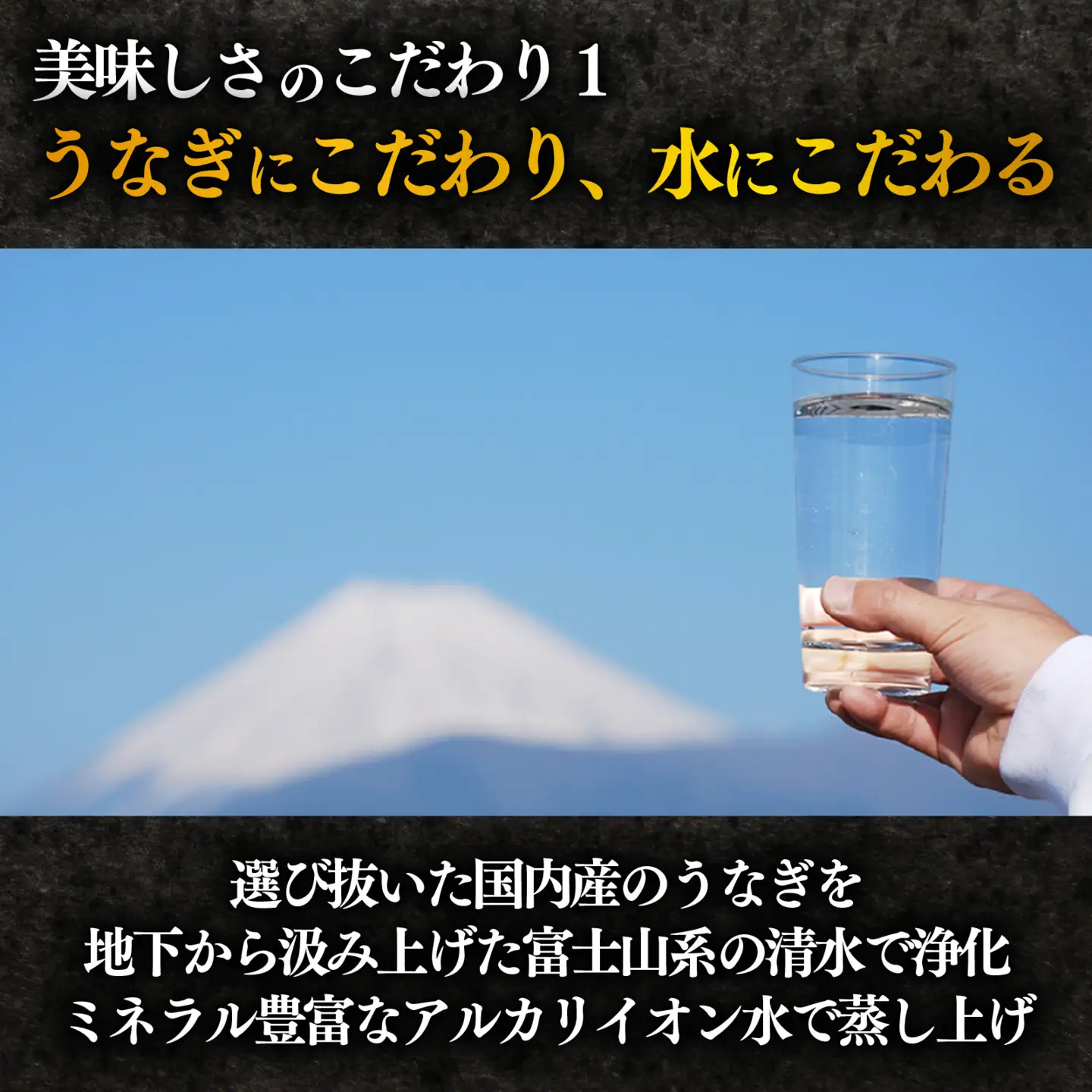【定期便 3ヶ月】 うなぎ 蒲焼 2尾 国産 うなぎ