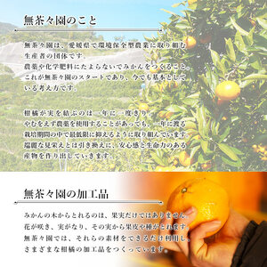 ＜無茶々園の飲むみかんゼリー 8個セット 4種×各2個＞ 果物 デザート おやつ 飲むゼリー 温州みかん 伊予柑 いよかん 甘夏 あまなつ ジューシー フルーツ 河内晩柑 かわちばんかん 特産品 愛媛県 西予市【常温】『1か月以内に順次出荷予定』AMC0006