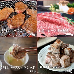 近江牛 カタログギフト D 株式会社ＴＫＳ 滋賀県 東近江市 C09 近江牛 カタログギフト 滋賀 東近江 贈答品 贈り物 選べる 肉 和牛 ブランド牛 有効期限なし 贅沢