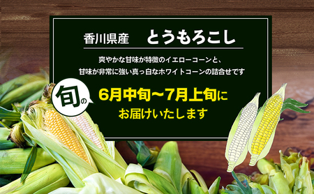 とうもろこし イエローコーン ホワイトコーン とうもろこし【約5kg 詰め合わせ】 【46312382】