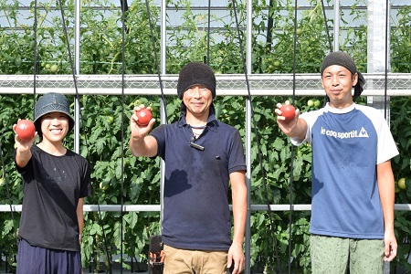 【期間限定】 飛騨トマト 麗月大玉 20玉 トマト【27-1】