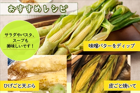 《期間限定》北海道 士幌産 わかもろこし 25本 セット (2026年7月中旬～発送開始予定)  皮付き ヤングコーン 十勝産 ベビーコーン トウモロコシ とうもろこし 産地直送 産直 お取り寄せ 送料無料 十勝 士幌町【L28】