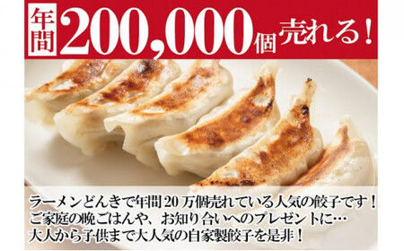 愛され続けて27年！ラーメンどんきの自家製冷凍餃子25個入り×3箱 加工品 惣菜 担々麺  FAD-0836