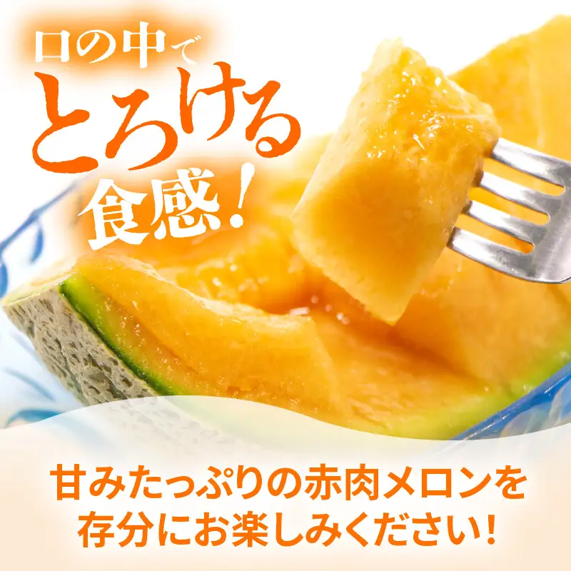 【先行予約】マルセイユメロン 2玉入 4Lサイズ ／ メロン フルーツ 果物 赤肉 花咲紅姫 贈答用 プレゼント 贈り物 国産 期間限定 産地直送 人気 ※2027年6月中旬より順次発送 [aw003-a007]