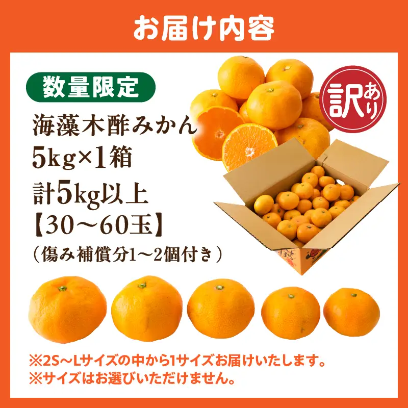 訳あり 数量限定 海藻木酢みかん 計5kg以上 傷み補償分入り フルーツ 果物 _A94-25