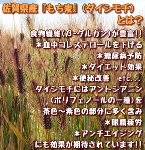CIB94_佐賀県産『もち麦』食べ比べ！キラリモチ２㎏、ダイシモチ２㎏