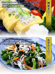 甲羅組 天然 釜揚げしらす 約500g 2袋 合計 約1kg (a10-807)