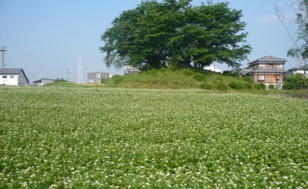 CP001_【東尾五割蕎麦１６人前（つゆ付）】 佐賀県No1生産地みやき町蕎麦 そば ざるそば ソバ 乾麺 乾めん 麺類 そばつゆ そば粉 田舎そば 佐賀