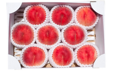 【令和9年産先行予約】 もも「川中島・あかつき・まどか 等」 約3kg (8～11玉) 《令和9年7月下旬～発送》 『生産者 佐藤 勇二』 桃 モモ 果物 フルーツ 産地直送 生産農家直送 [591]
