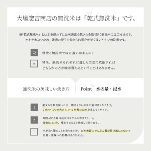 【8月下旬発送】 あきたこまち 10kg 令和7年産 無洗米 ob-akxxa10-m
