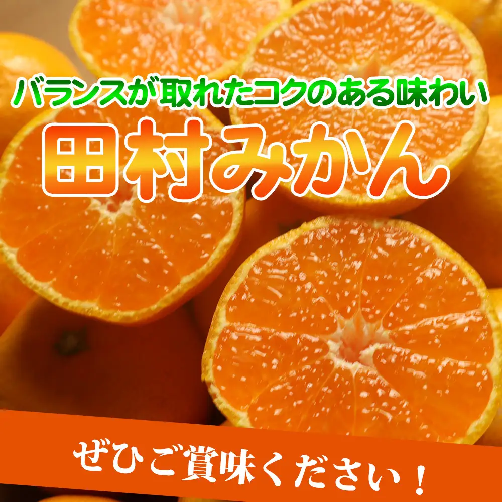 【2026年先行予約】高級ブランド 田村みかん 約5kg_G7340
