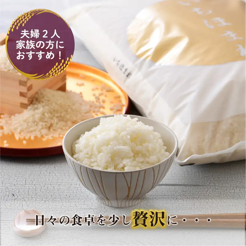 【令和7年産】（7分づき） さんさん池見二代目がお届けする 福井県産いちほまれ 5kg [B-0219_02]