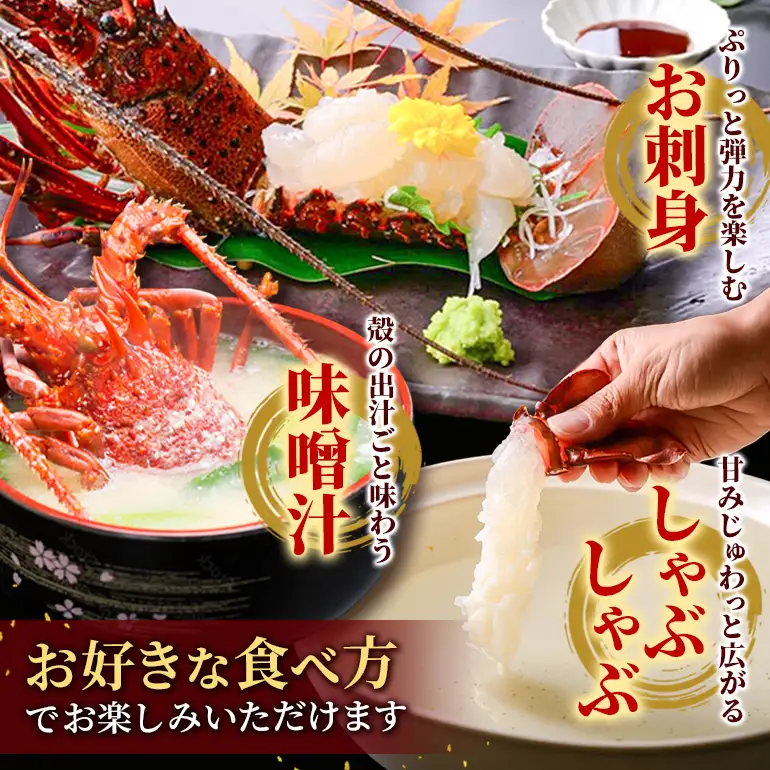 活冷伊勢えび 2～4尾（600g）バタバタしたら角と足がとれちゃいました　【BB25】