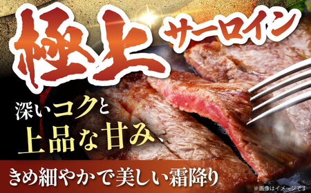 佐賀牛 サーロイン ステーキ約200g×3枚 HAA005 ステーキ 和牛 国産