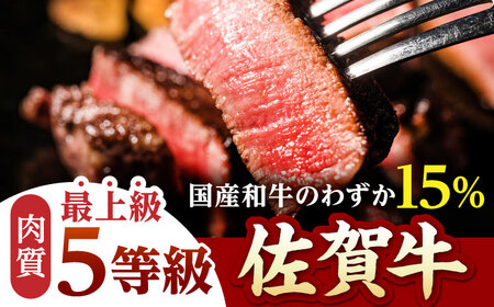 【最速発送】佐賀牛 シャトーブリアン200g×2枚 HAD030 シャトーブリアン 牛肉
