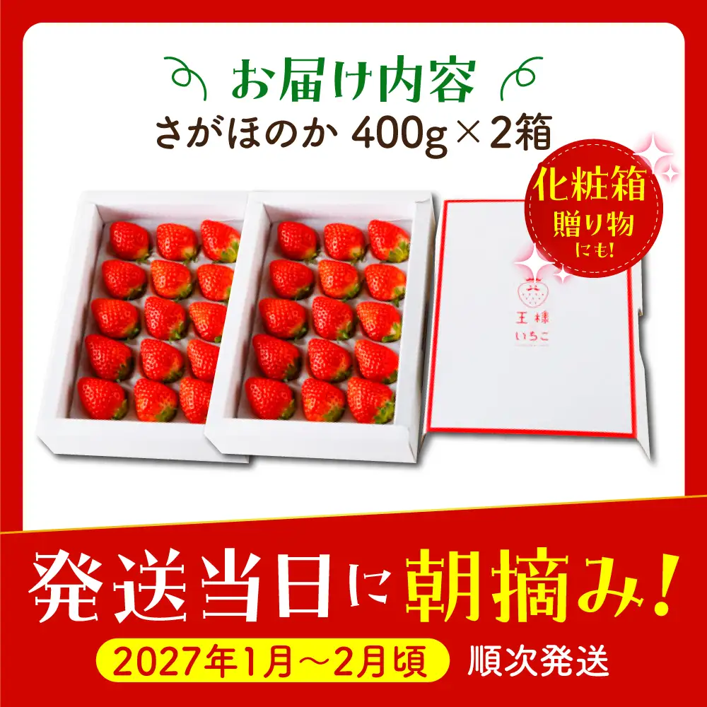 【先行予約】【1?2月発送】王様のいちごさがほのか400g×2箱 HAF010 いちご フルーツ 果物