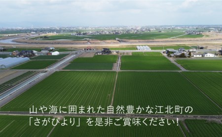 令和4年産 玄米 さがびより 15kg【武富農園】 [HAH001]特A米 特A評価 コメ 米
