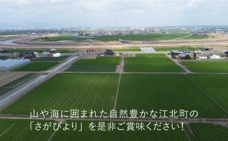 令和4年産 玄米 さがびより 30kg【武富農園】 [HAH002]特A米 特A評価 コメ 米