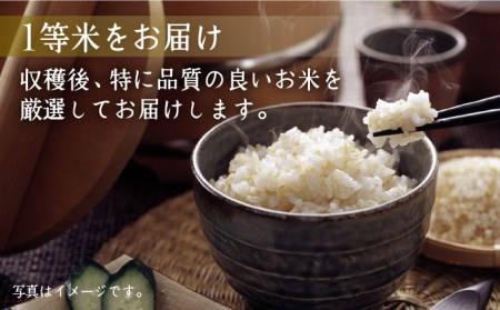 【全3回定期便】江北町産 1等米 夢しずく 玄米5kg【葦農】 [HAJ016]玄米 玄米 玄米 玄米