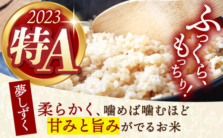【全6回定期便】江北町産 1等米 夢しずく 玄米5kg【葦農】 [HAJ017]玄米 玄米 玄米 玄米