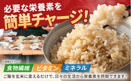 【全6回定期便】夢しずく 玄米 10kg（5kg×2袋）【江頭農園】  [HAU010]特A 特A評価 コメ お米 特A米