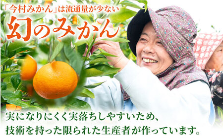 【“幻のみかん”20個以上】今村みかんジュース 720ml×2本【今村みかんジュースの会】 [HBI001]ストレート みかん ジュース  今村みかん みかん