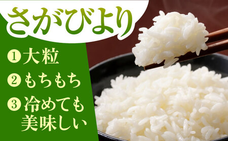 【全3回定期便】さがびより 白米 5kg  [HBL019]米