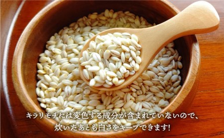 【全3回定期便】もち麦 キラリモチ 4kg（1kg×4袋）【大塚米穀店】 [HBL039]