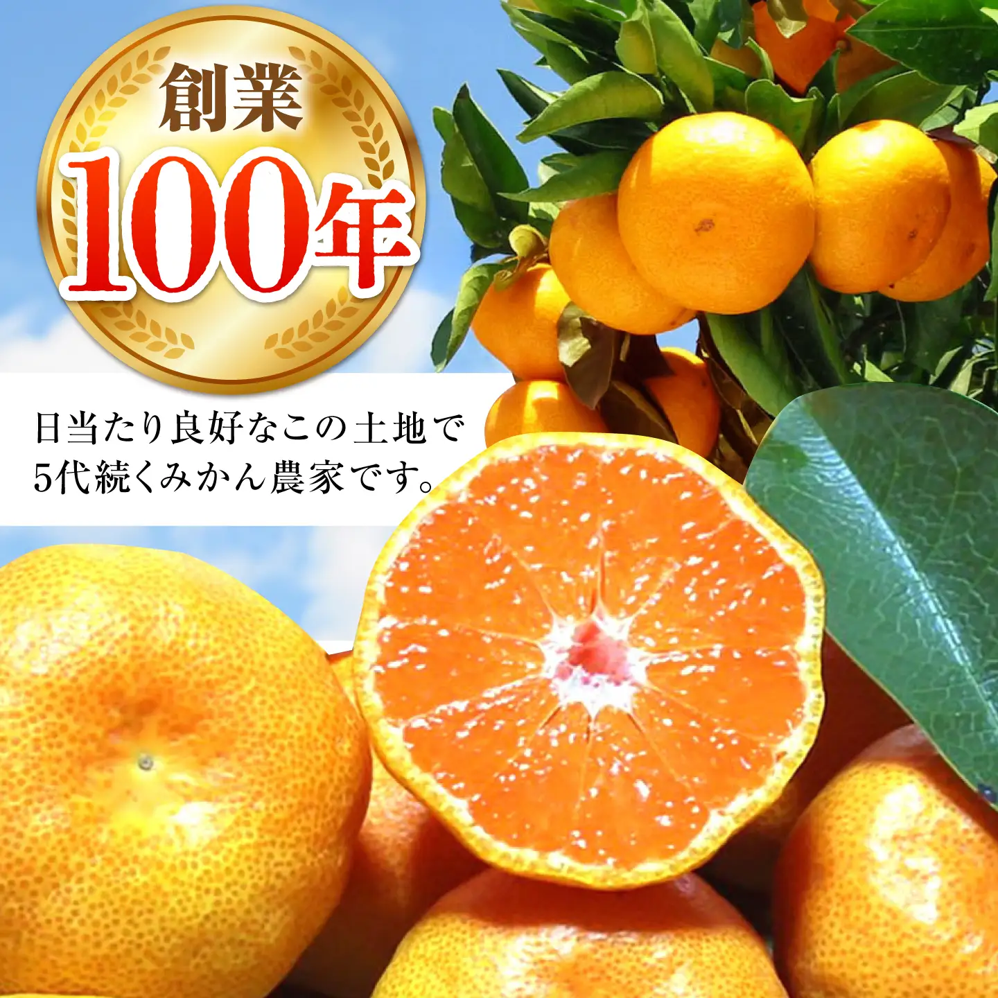 【先行予約】早生みかん 太陽のしずく 5kg【夢の甘熟みかん タッチ】[HCE001] 蜜柑 果物 フルーツ 柑橘