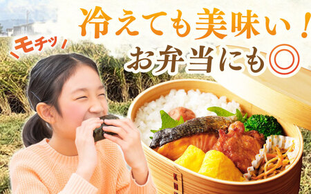 【特別栽培米】令和7年産さがびより 玄米 30kg 【ももさき農産】  [HCG001]