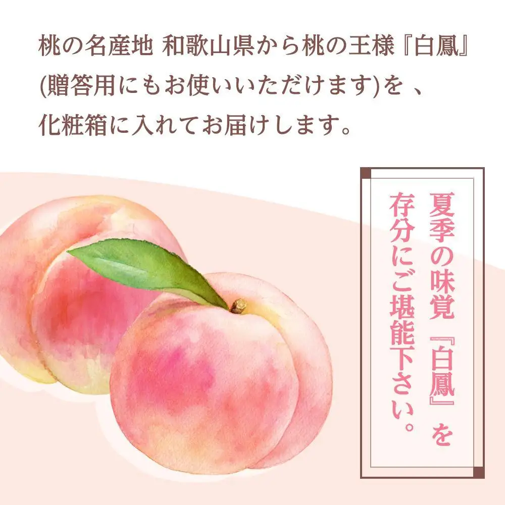 和歌山県産 白鳳 桃 5～8玉入り 秀品 先行予約［2027年6月下旬以降発送］［MG6］