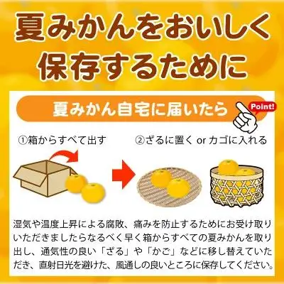 夏みかん 7.2kg［2027年4月中旬頃から発送］［先行予約］［UT73］