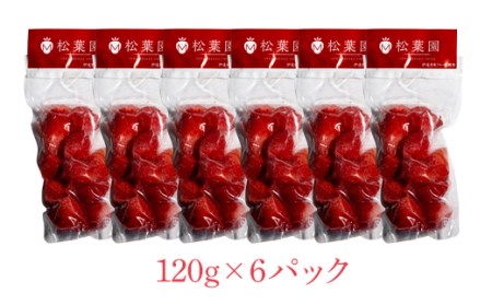 冷凍いちご　とちおとめ 720g（120g×6パック） F20C-576